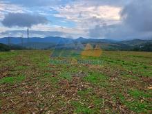 Foto do imvel em exposio