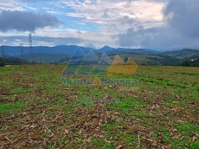 Foto do imvel em exposio